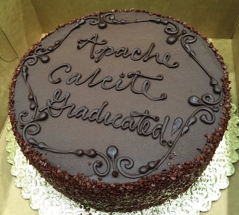 Calcite's graduation cake